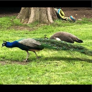 Meet your Posher, Sonia